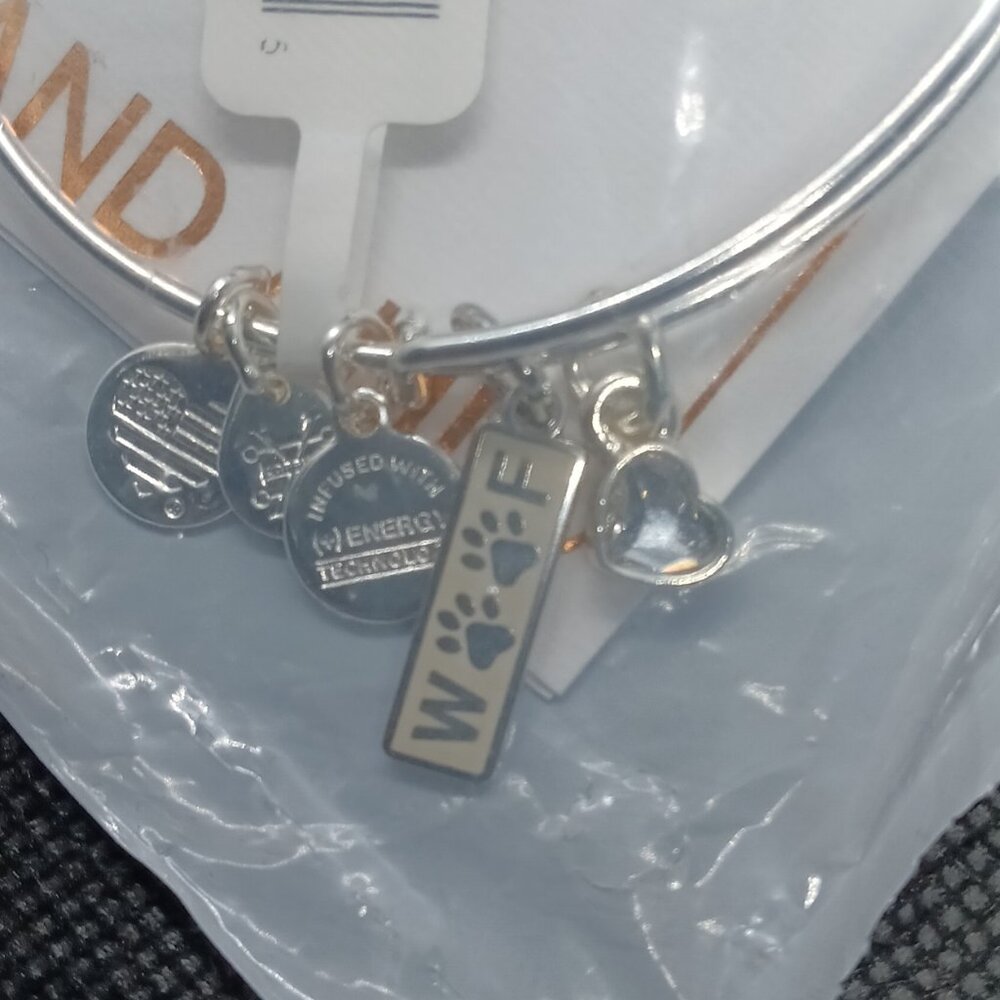 Alex and Ani Woof Duo Charm Bracelet